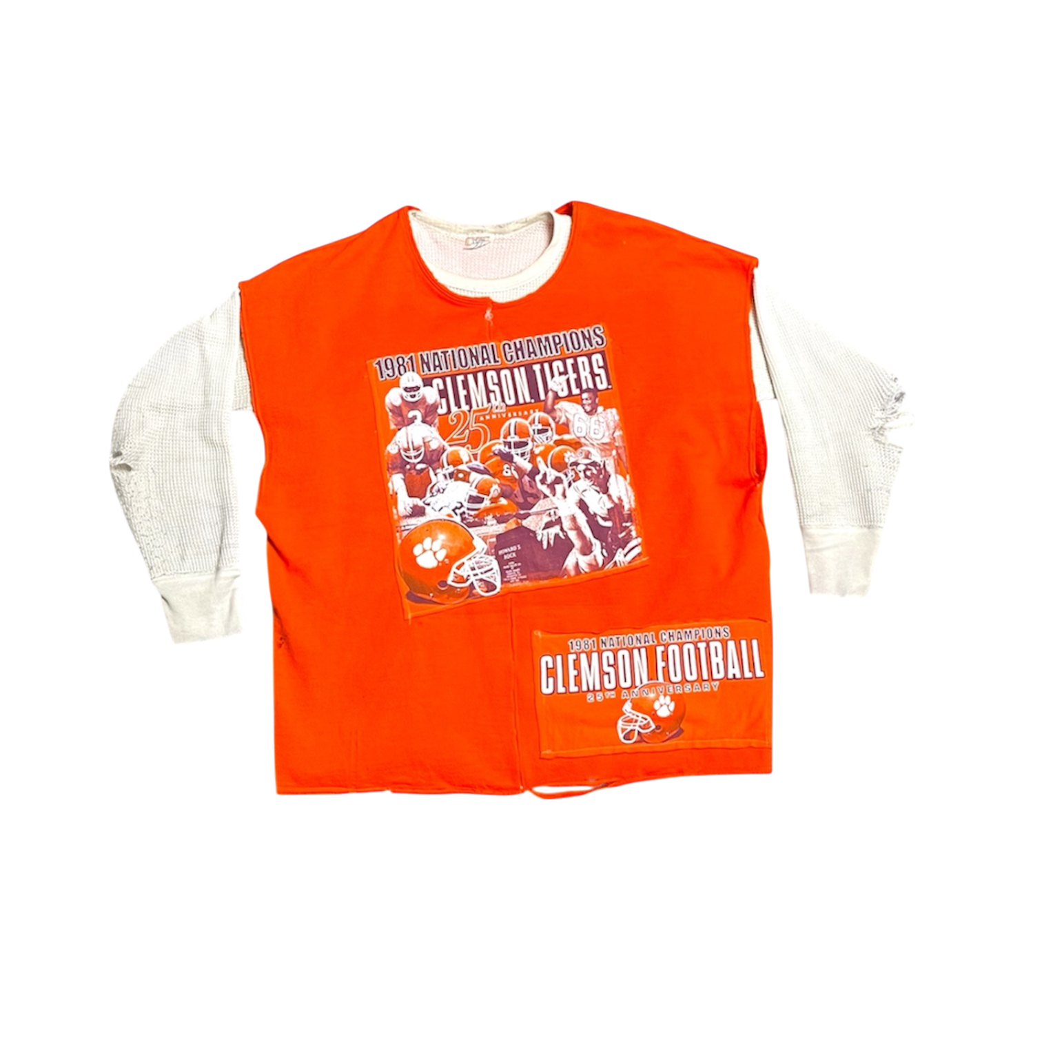 1981 Clemson Champions