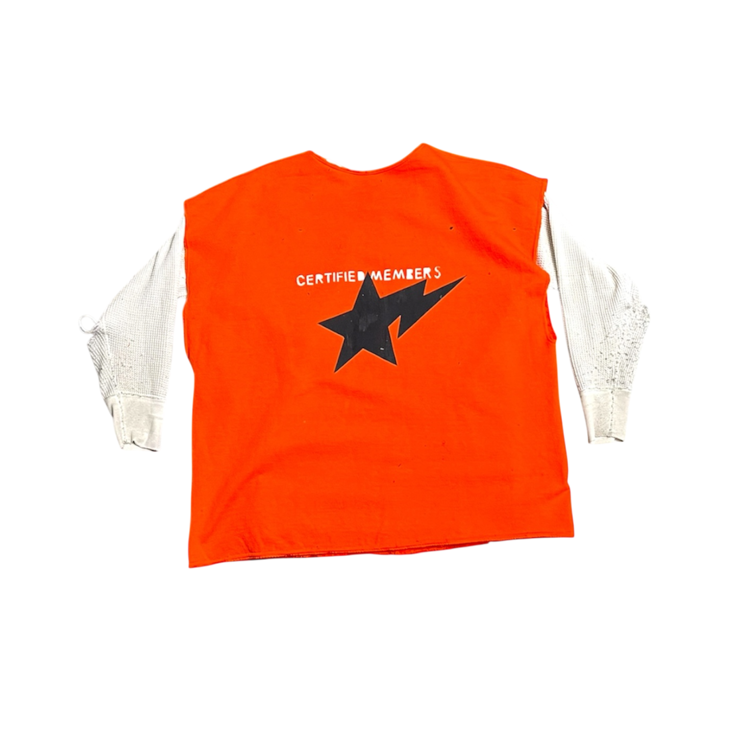 1981 Clemson Champions