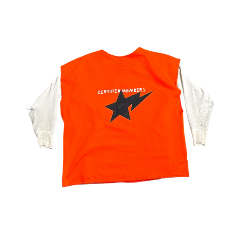 1981 Clemson Champions